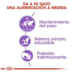 Royal Canin Sterilised patê em saquetas para gatos