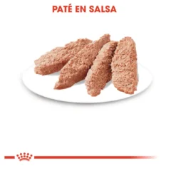 Royal Canin Sterilised patê em saquetas para gatos