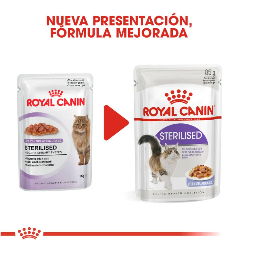 Royal Canin Sterilised Saquetas em gelatina para gatos