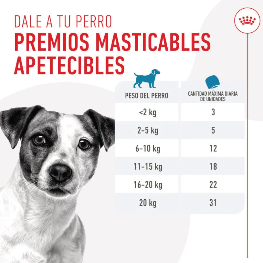 Royal Canin Training snacks para cães