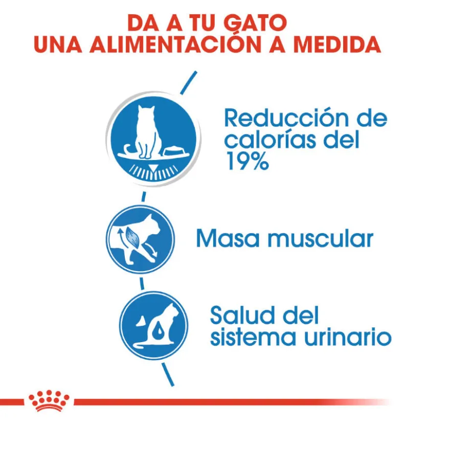 Royal Canin Ultra Light saquetas para gatos