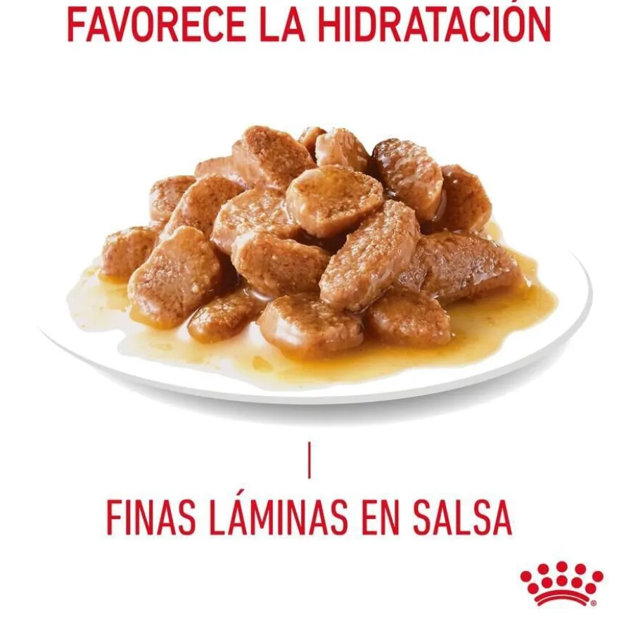 Royal Canin Urinary Care Adult Saqueta em molho para gatos
