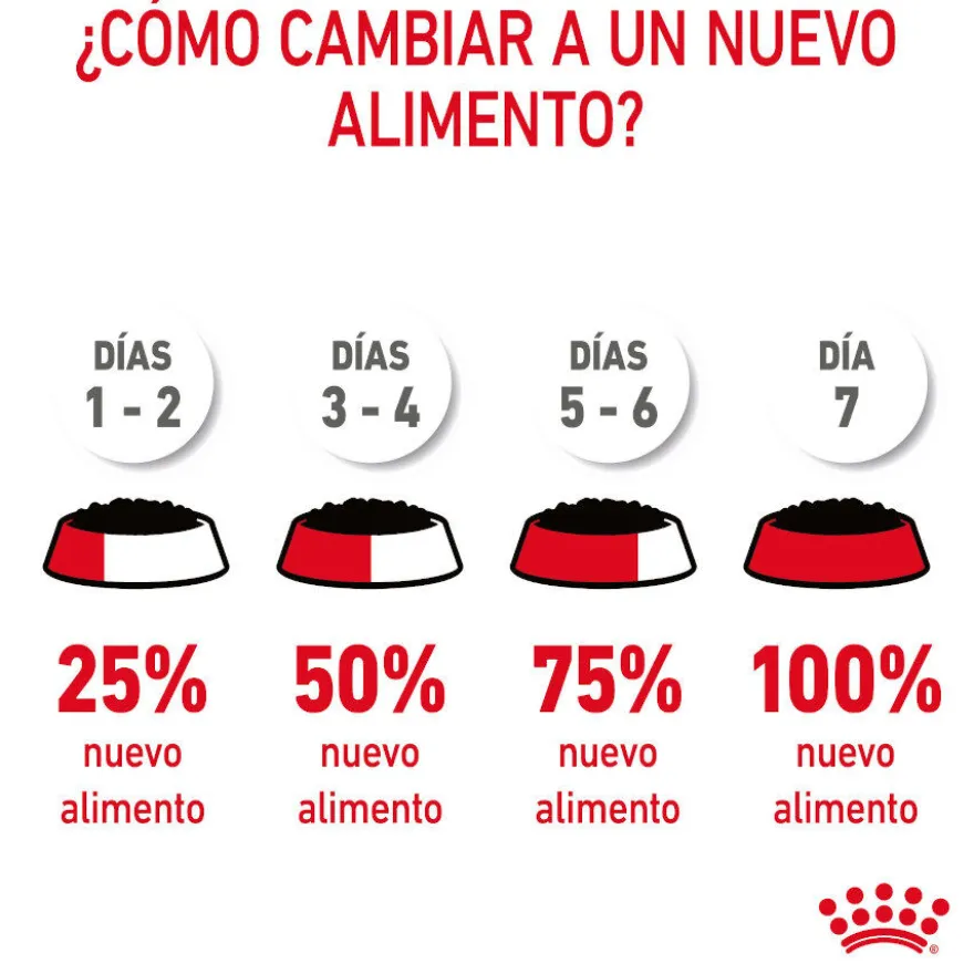Royal Canin Urinary Care Saquetas em Gelatina para Gatos