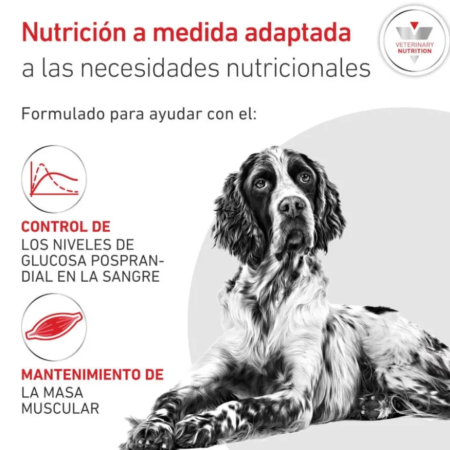 Royal Canin Veterinary Diabetic Lata para cães