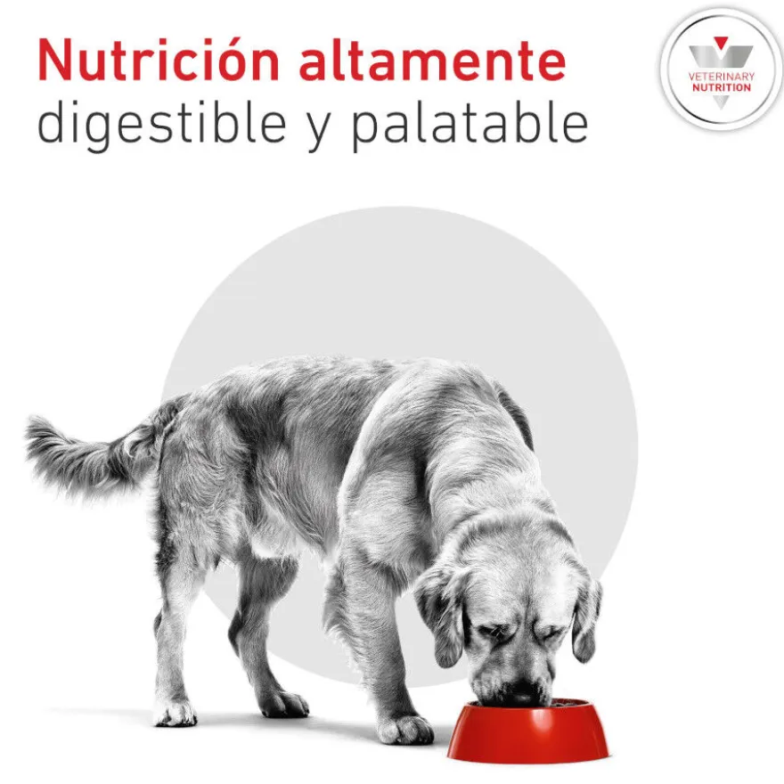 Royal Canin Veterinary Diabetic Lata para cães