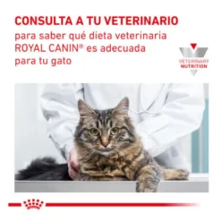 Royal Canin Veterinary Gastrointestinal Moderate Calorie saqueta para gatos