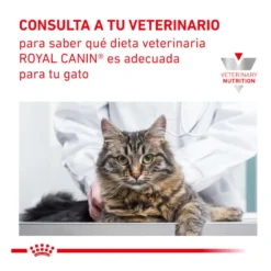 Royal Canin Veterinary Renal Select ração para gatos
