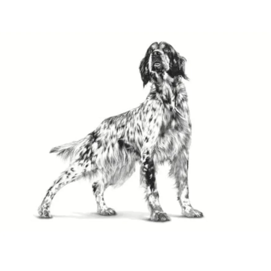 Royal Canin Veterinary Sensitivity Control Pato e Arroz Lata para cães