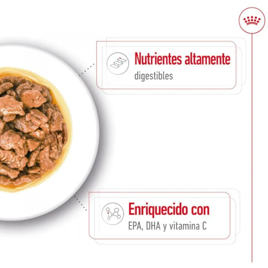 Royal Canin X-Small Adult saquetas com molho para cães