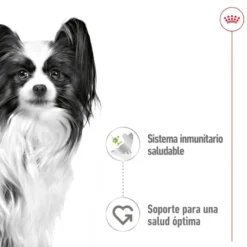 Royal Canin X-Small Adult saquetas com molho para cães