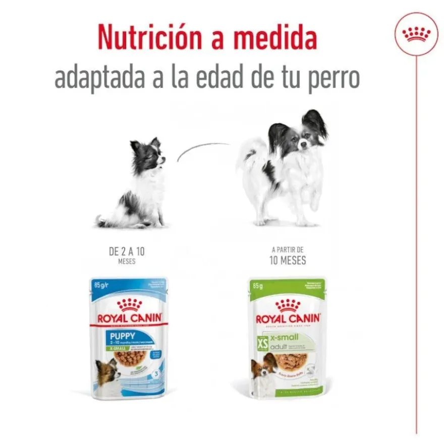 Royal Canin X-Small Adult saquetas com molho para cães