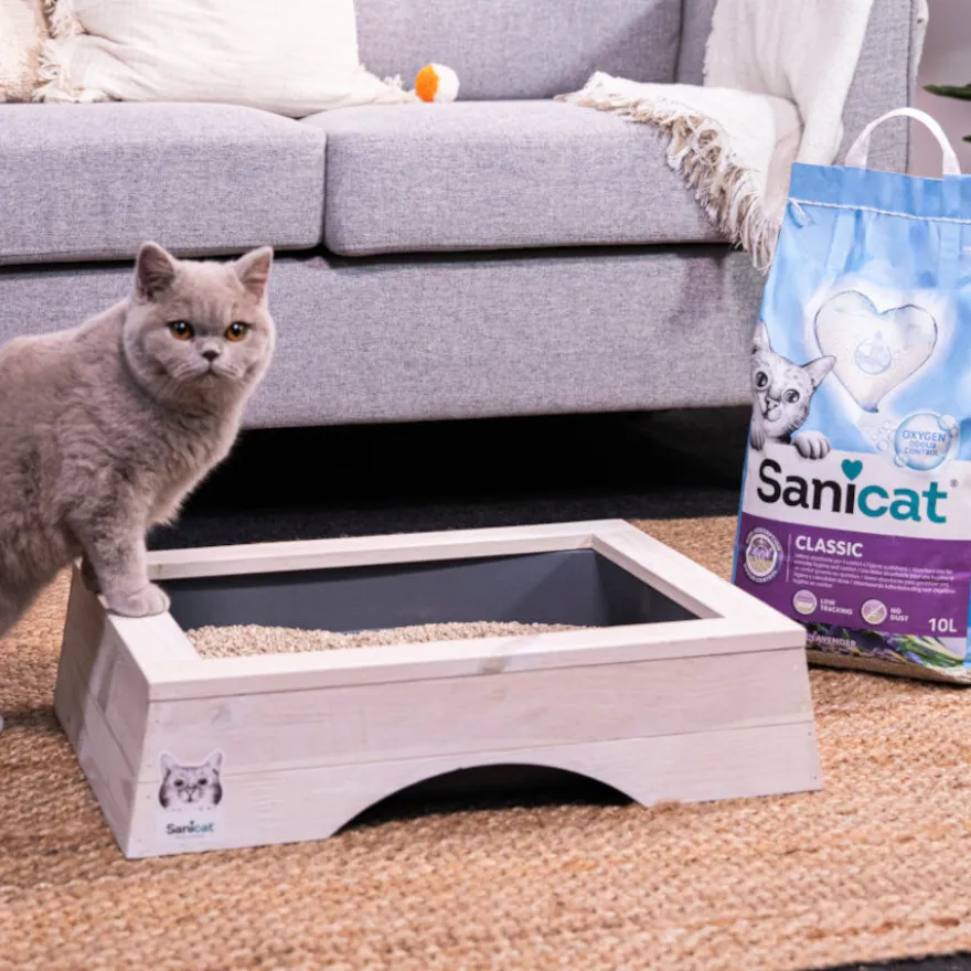 Sanicat Classic Areia Absorvente Lavanda