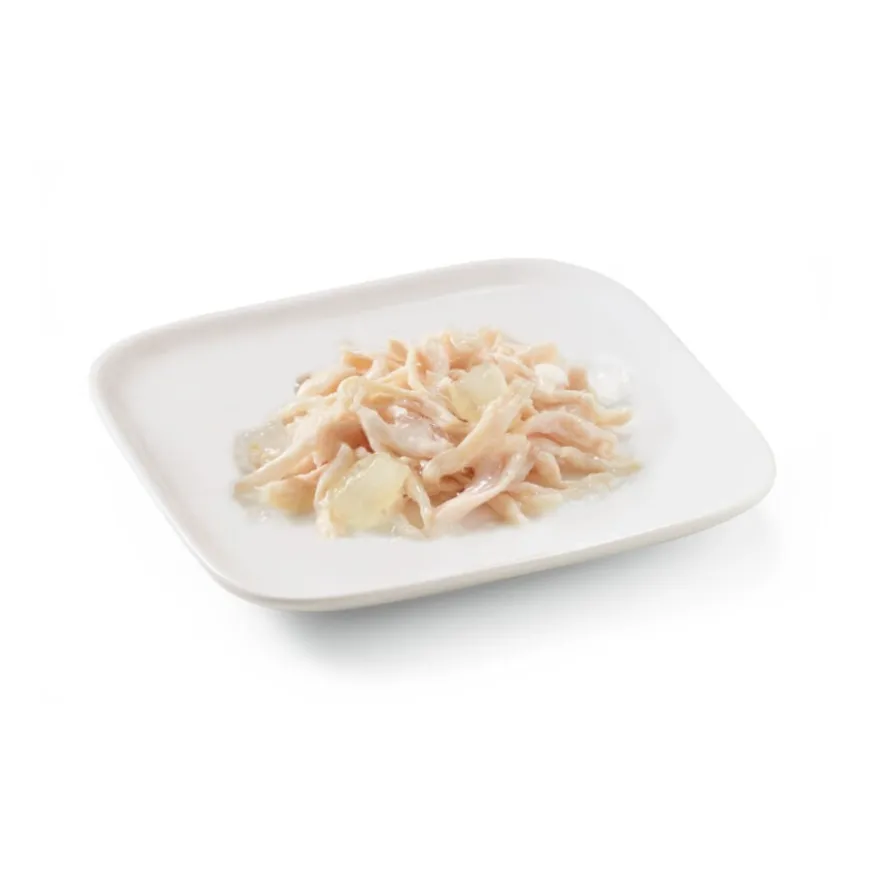 Schesir Adult Frango com Aloé lata para cães