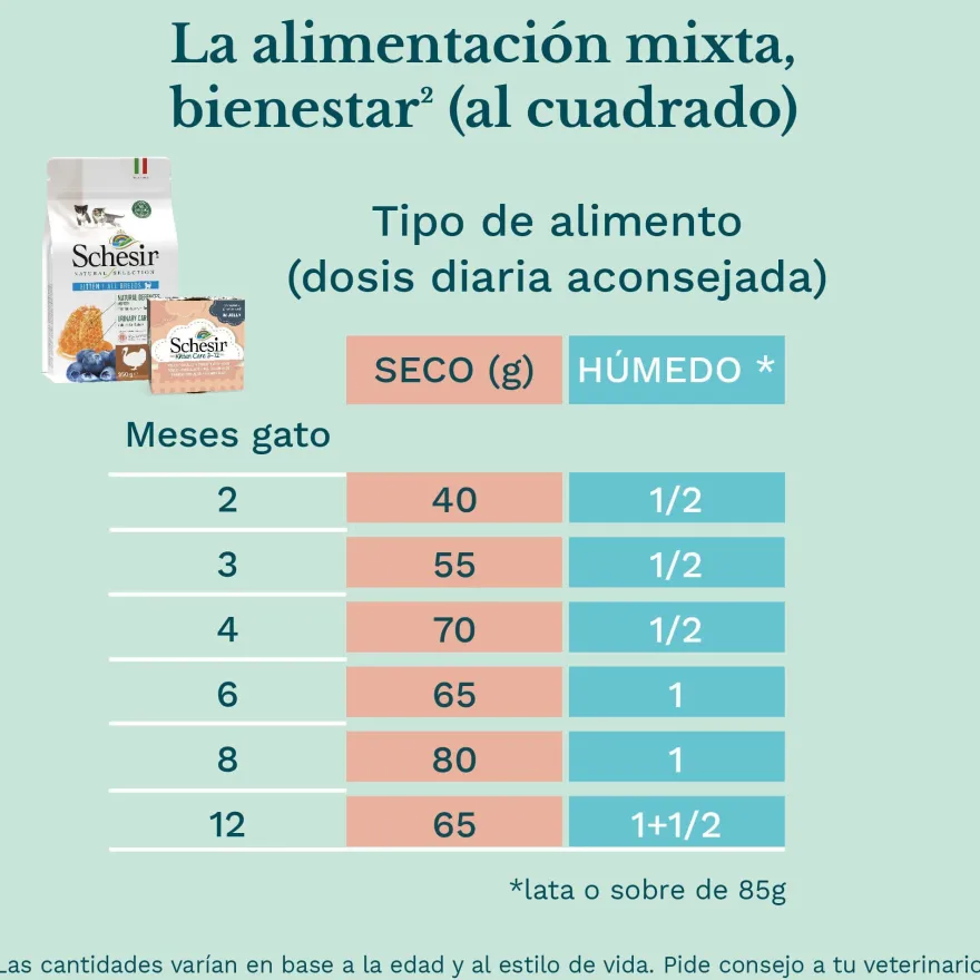 Schesir Kitten Frango com Aloé lata para gatos