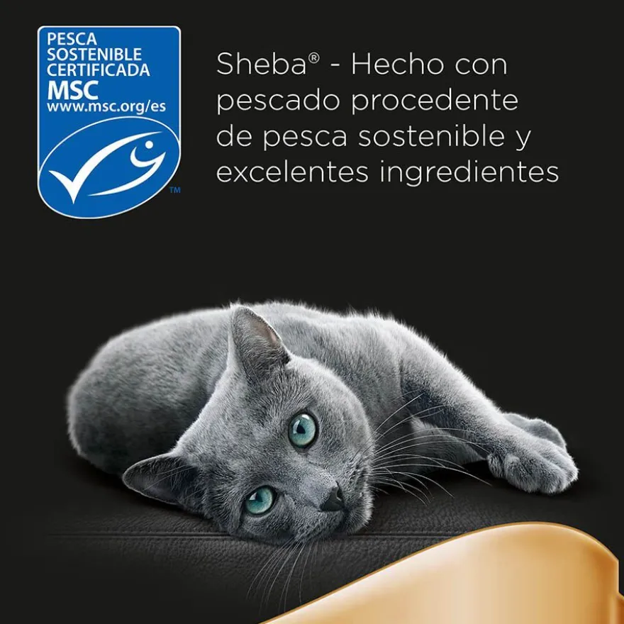 Sheba Délices du Jour em Molho de Atum, Bacalhau e Peixe Branco ração húmida para gatos