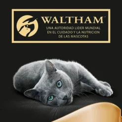 Sheba Délices du Jour em Molho de Atum, Bacalhau e Peixe Branco ração húmida para gatos