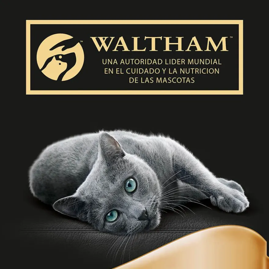 Sheba Délices du Jour em Molho de Atum, Bacalhau e Peixe Branco ração húmida para gatos