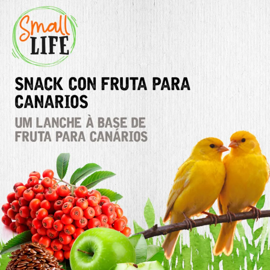 Small Life Barritas Snack com Fruta para canários