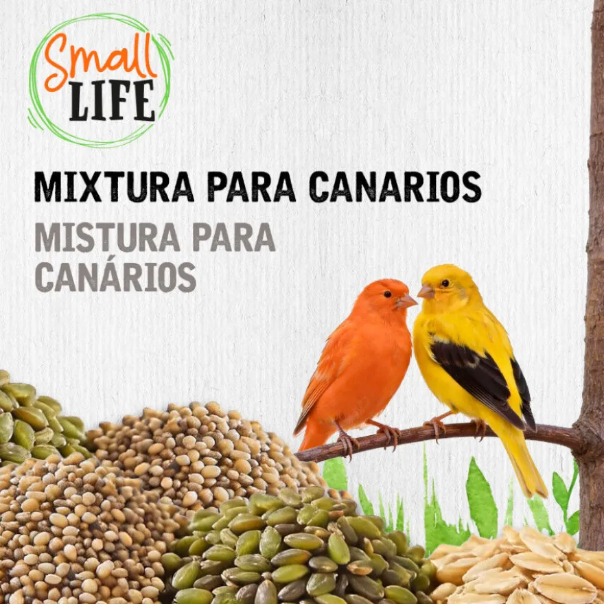 Small Life Mixtura Cubos para canários