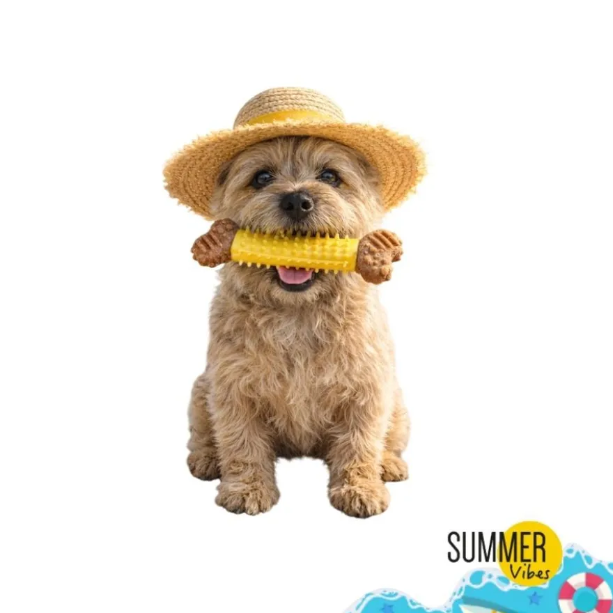 Summer Vibes Chew Bone Mordedor em Formato de Osso para cães