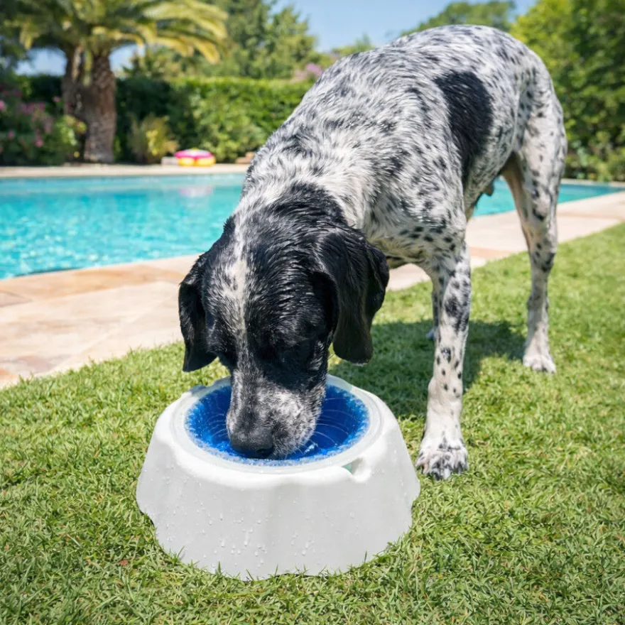 Summer Vibes Cool Bowl Small Comedouro e bebedouro para cães
