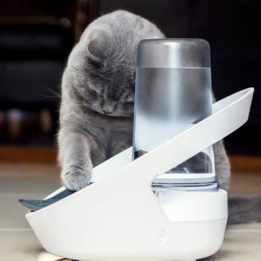 Sure Petcare Felaqua Connect Bebedouro automático para gato