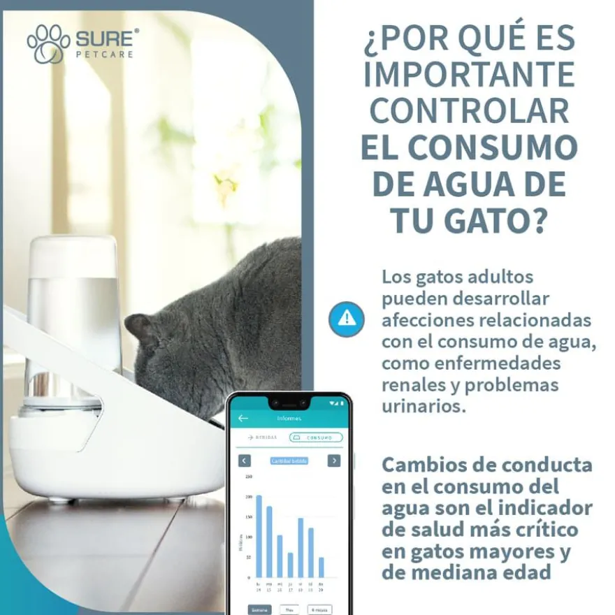 Sure Petcare Felaqua Connect Bebedouro automático para gato