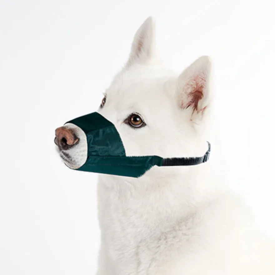 TK-Pet Exclusive Açaime para cães