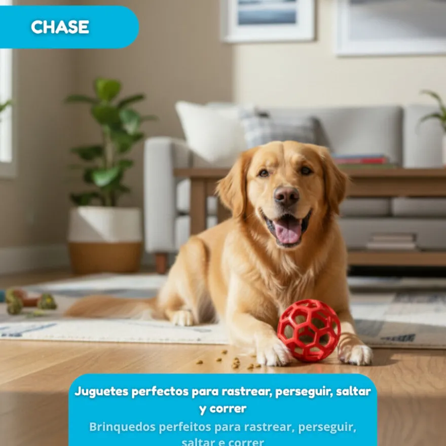 Tootoy! Chase Bola Hexahole média para cães