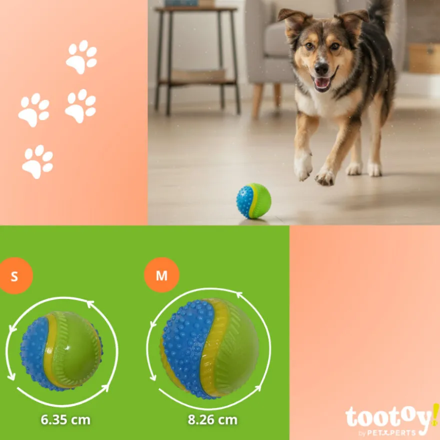 Tootoy! Chase Bolas dos 5 sentidos média para cães