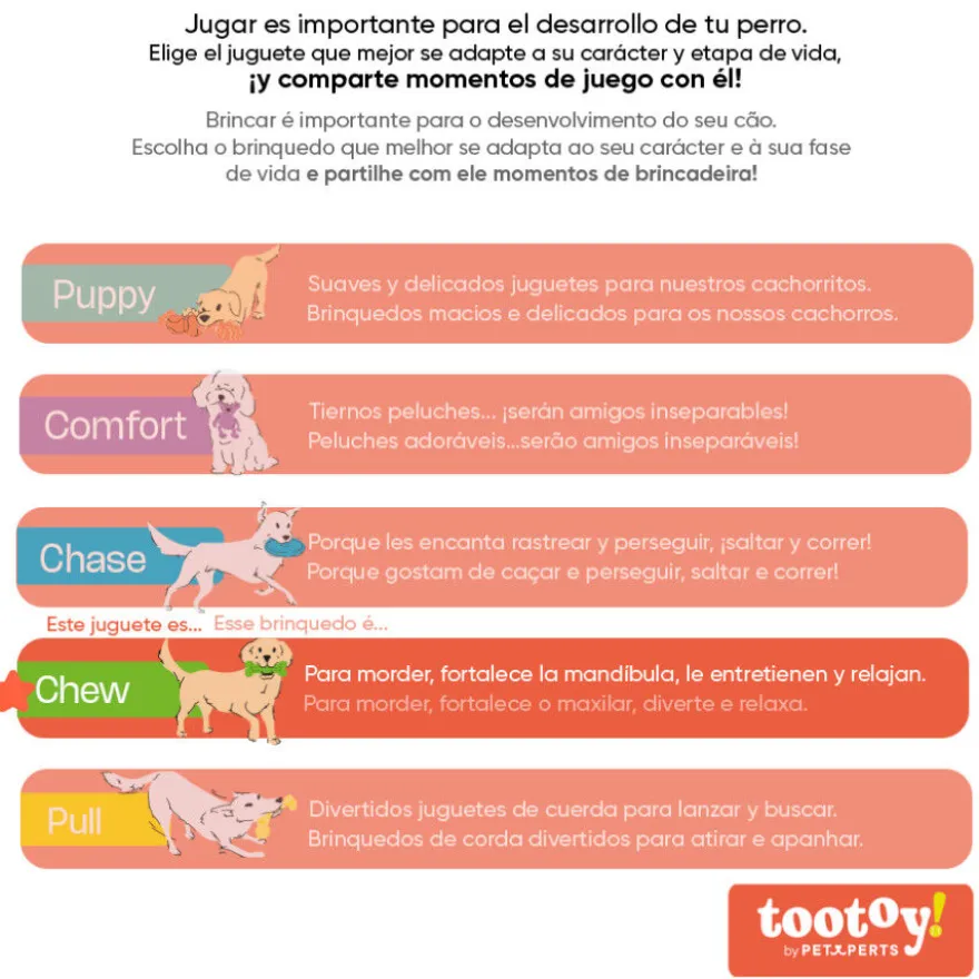 Tootoy! Chase Bolas dos 5 sentidos média para cães