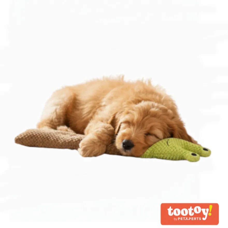 Tootoy! Comfort Caracol de brinquedo para cães