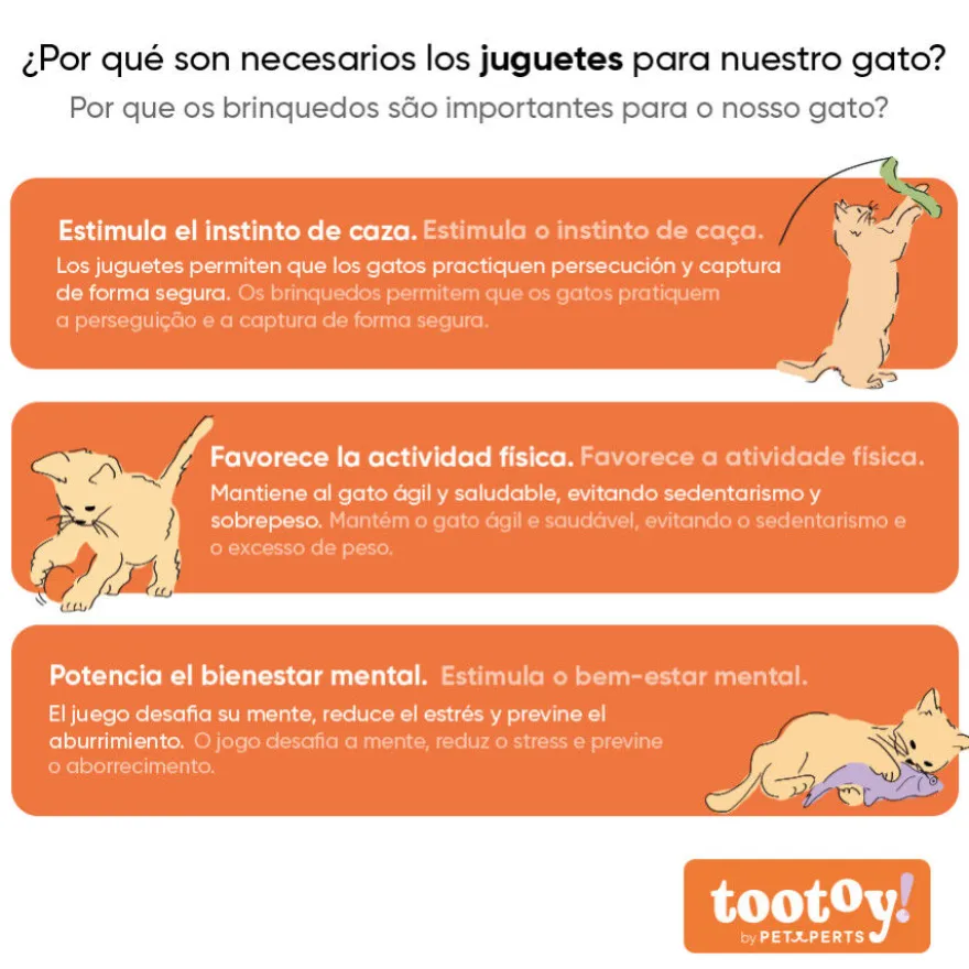 Tootoy! Kitten Caixa de presentes para gatinhos