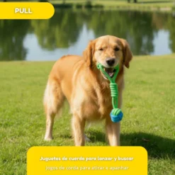 Tootoy! Pull Bola de puxar com corda para cães