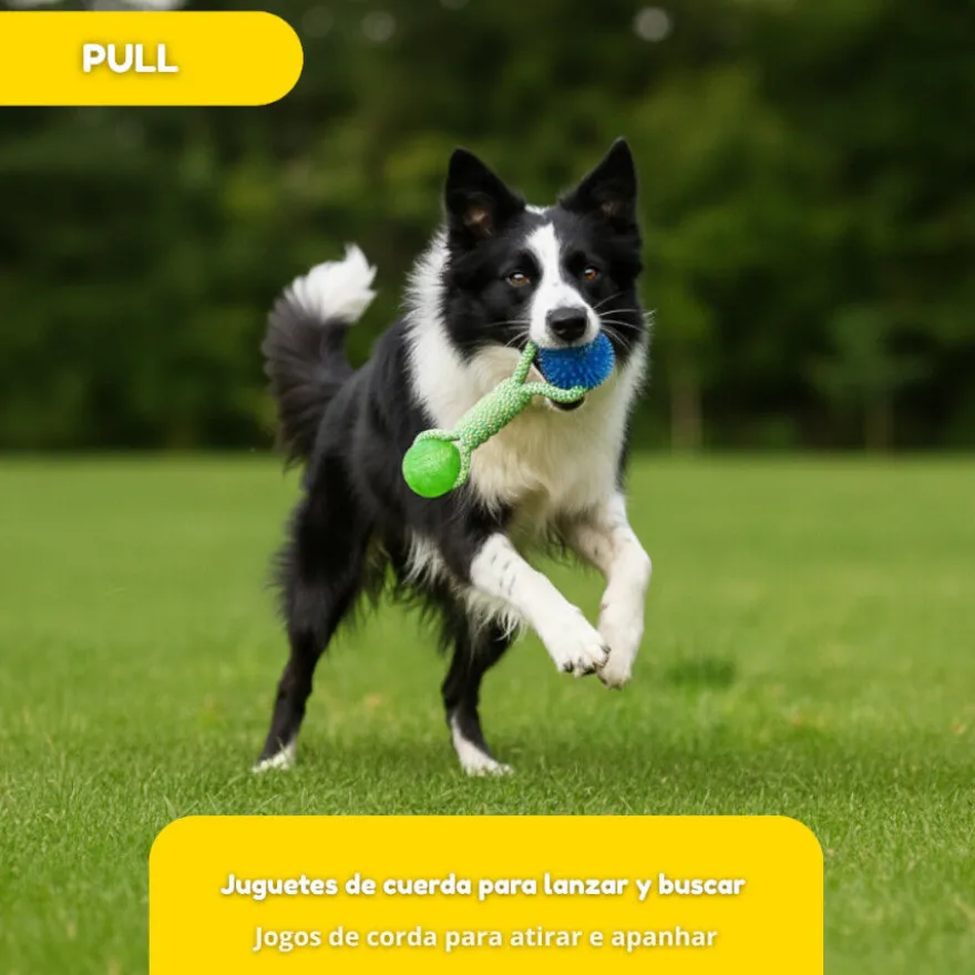 Tootoy! Pull Brinquedo de corda com duas bolas para cães