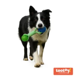 Tootoy! Pull Brinquedo de corda com duas bolas para cães