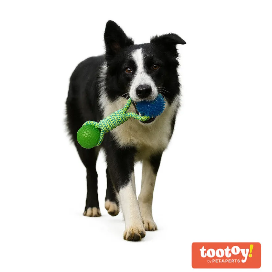 Tootoy! Pull Brinquedo de corda com duas bolas para cães