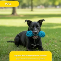 Tootoy! Pull Mordedor corda com par de bolas para cães