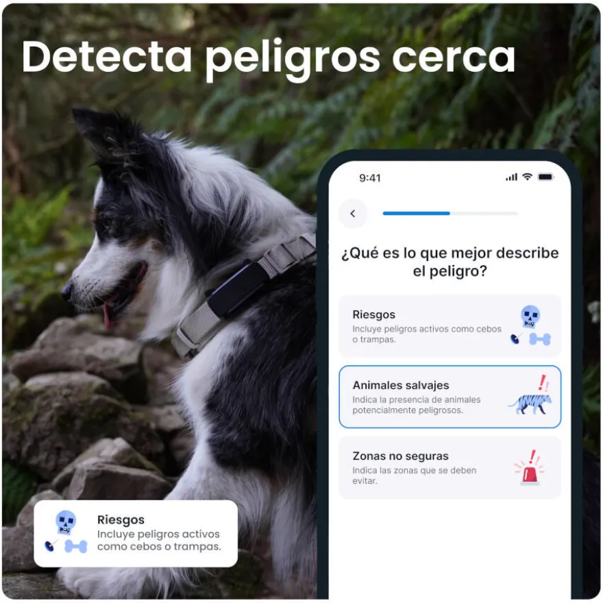 Tractive GPS Dog 6 Rastreador Mint de cães