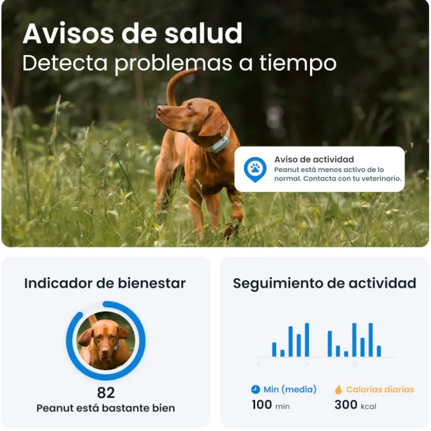 Tractive GPS Dog 6 Rastreador Mint de cães