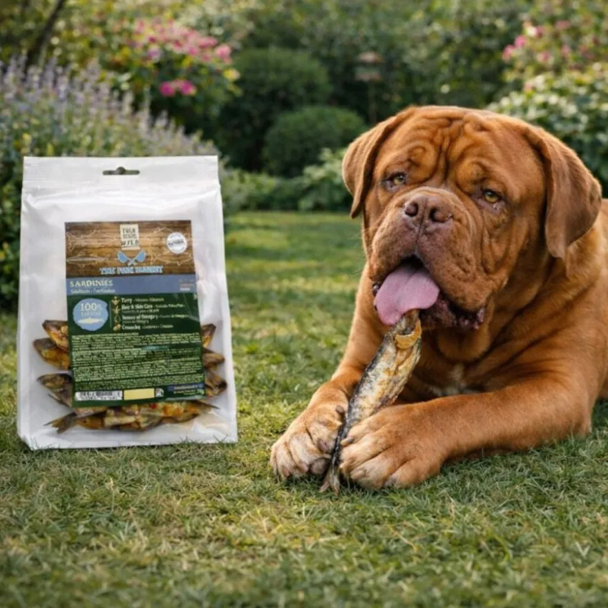 True Origins Sardinhas Snack para cães