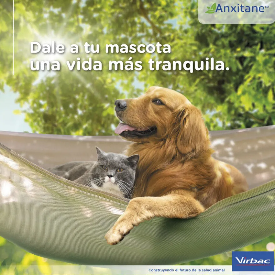 Virbac Anxitane Relaxantes em comprimidos para cães e gatos