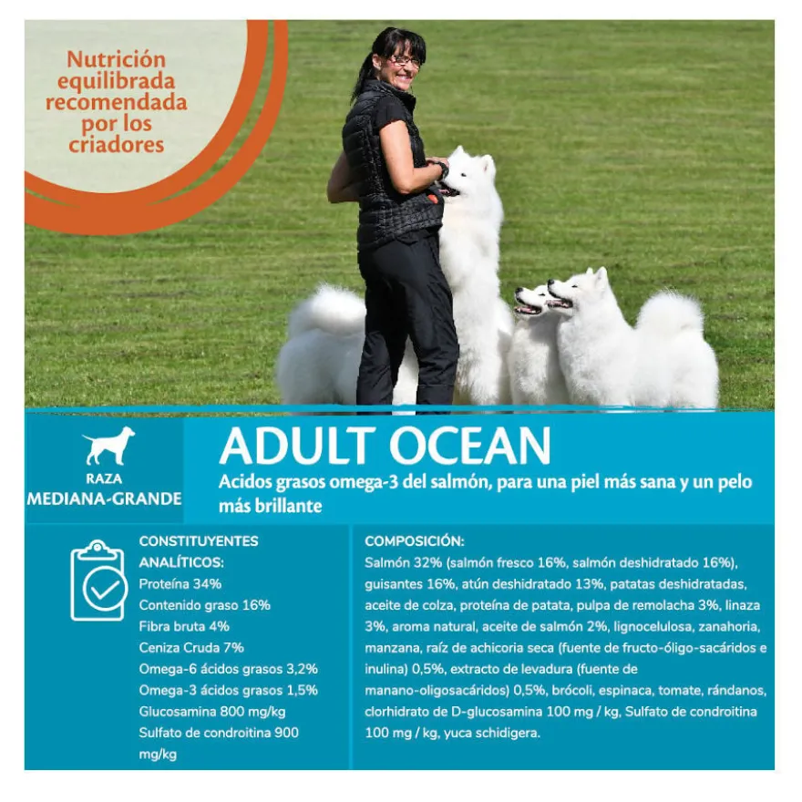 Wellness Core Adult Medium/Large Ocean Salmão e Atum ração para cães