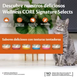 Wellness Core Flaked atum lata para gatos