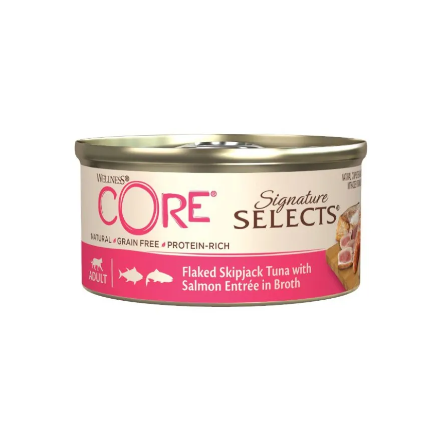 Wellness Core Flaked Salmão em lata para gatos