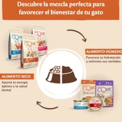 Wellness Core Flaked Salmão em lata para gatos