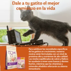 Wellness Core Kitten Frango em Patê para gatos