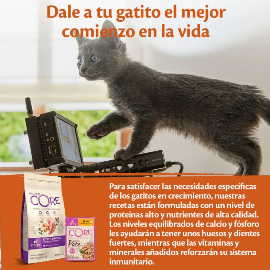 Wellness Core Kitten Frango em Patê para gatos