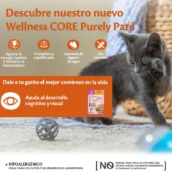 Wellness Core Kitten Frango em Patê para gatos