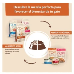 Wellness Core peru terrina para gatos
